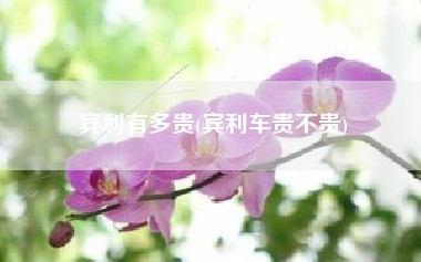 宾利有多贵(宾利车贵不贵)