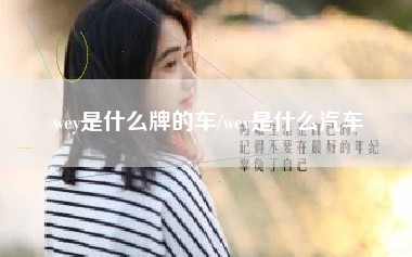 wey是什么牌的车/wey是什么汽车