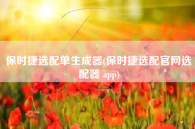 保时捷选配单生成器(保时捷选配官网选配器 app)