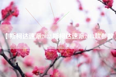 【斯柯达速派2022,斯柯达速派2013款参数】 【斯柯达速派2022,斯柯达速派2013款参数】