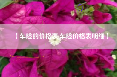 【车险的价格表,车险价格表明细】