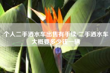 个人二手洒水车出售有手续/二手洒水车大概要多少钱一辆