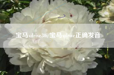 宝马xdrive30i/宝马xdrive正确发音 宝马xdrive30i/宝马xdrive正确发音