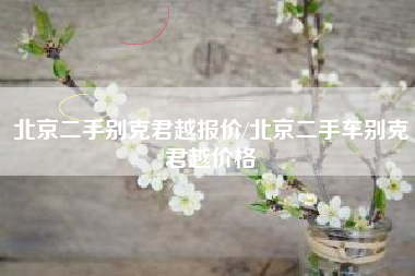 北京二手别克君越报价/北京二手车别克君越价格 北京二手别克君越报价/北京二手车别克君越价格