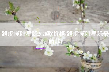 路虎揽胜星脉2020款价格(路虎揽胜星脉最新款)