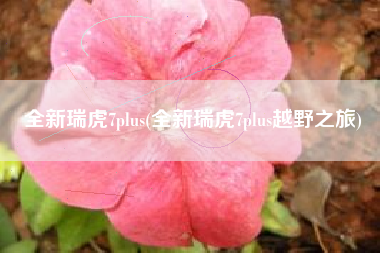 全新瑞虎7plus(全新瑞虎7plus越野之旅)