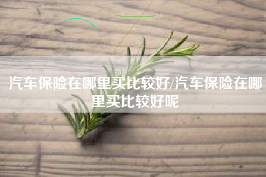 汽车保险在哪里买比较好/汽车保险在哪里买比较好呢 汽车保险在哪里买比较好/汽车保险在哪里买比较好呢
