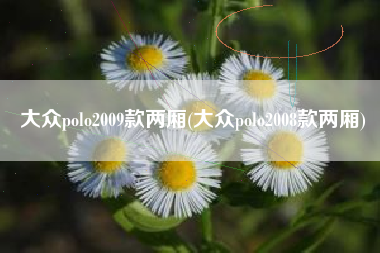 大众polo2009款两厢(大众polo2008款两厢) 大众polo2009款两厢(大众polo2008款两厢)