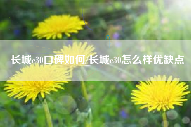 长城c30口碑如何/长城c30怎么样优缺点