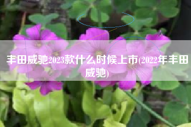 丰田威驰2023款什么时候上市(2022年丰田威驰)
