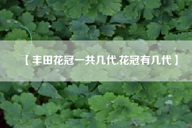 【丰田花冠一共几代,花冠有几代】