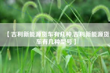 【吉利新能源货车有几种,吉利新能源货车有几种型号】