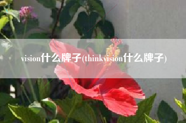 vision什么牌子(thinkvision什么牌子)