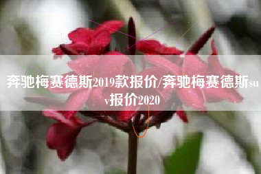 奔驰梅赛德斯2019款报价/奔驰梅赛德斯suv报价2020