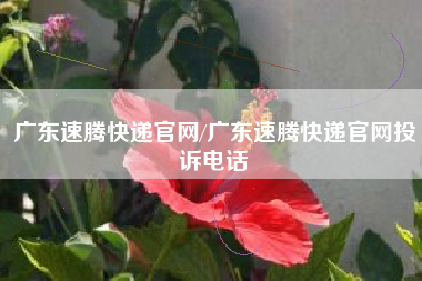 广东速腾快递官网/广东速腾快递官网投诉电话