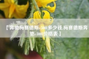 【奔驰梅赛德斯e300l多少钱,梅赛德斯奔驰e300l价格表】