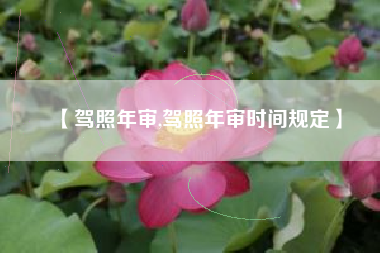 【驾照年审,驾照年审时间规定】