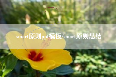 smart原则ppt模板/smart原则总结 smart原则ppt模板/smart原则总结