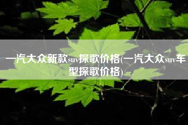 一汽大众新款suv探歌价格(一汽大众suv车型探歌价格)
