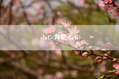 gla45(奔驰gla45)
