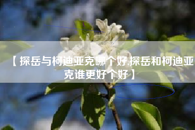 【探岳与柯迪亚克哪个好,探岳和柯迪亚克谁更好个好】