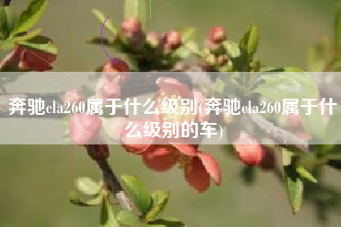奔驰cla260属于什么级别(奔驰cla260属于什么级别的车)