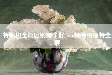 特顺和全顺区别哪个好/jmc特顺和福特全顺 特顺和全顺区别哪个好/jmc特顺和福特全顺