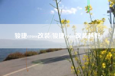 骏捷cross改装(骏捷cross改装越野) 骏捷cross改装(骏捷cross改装越野)