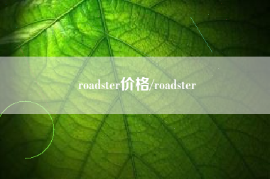 roadster价格/roadster