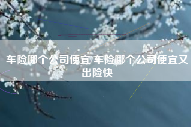 车险哪个公司便宜/车险哪个公司便宜又出险快