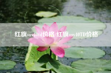 红旗suv40td价格/红旗suv40TD价格 红旗suv40td价格/红旗suv40TD价格