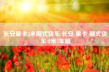 长安星卡3米厢式货车/长安 星卡 厢式货车 2米7车厢