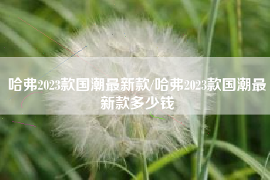 哈弗2023款国潮最新款/哈弗2023款国潮最新款多少钱 哈弗2023款国潮最新款/哈弗2023款国潮最新款多少钱