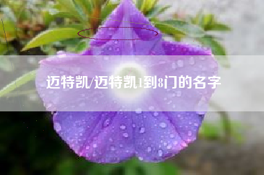 迈特凯/迈特凯1到8门的名字