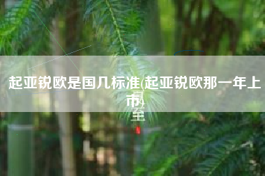 起亚锐欧是国几标准(起亚锐欧那一年上市)