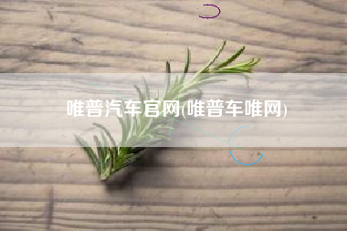 唯普汽车官网(唯普车唯网)