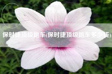 保时捷顶级跑车(保时捷顶级跑车多少钱) 保时捷顶级跑车(保时捷顶级跑车多少钱)