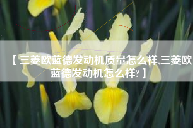 【三菱欧蓝德发动机质量怎么样,三菱欧蓝德发动机怎么样?】 【三菱欧蓝德发动机质量怎么样,三菱欧蓝德发动机怎么样?】