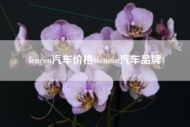 fencon汽车价格(fencon汽车品牌) fencon汽车价格(fencon汽车品牌)
