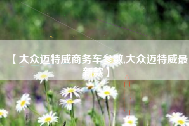 【大众迈特威商务车参数,大众迈特威最新款】