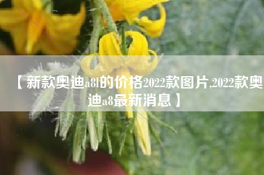 【新款奥迪a8l的价格2022款图片,2022款奥迪a8最新消息】