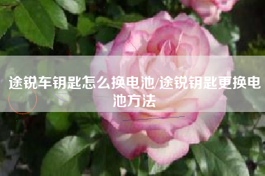 途锐车钥匙怎么换电池/途锐钥匙更换电池方法 途锐车钥匙怎么换电池/途锐钥匙更换电池方法