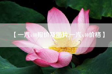 【一汽x40报价及图片,一汽x40价格】 【一汽x40报价及图片,一汽x40价格】