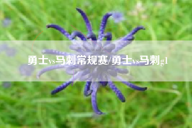 勇士vs马刺常规赛/勇士vs马刺g1 勇士vs马刺常规赛/勇士vs马刺g1