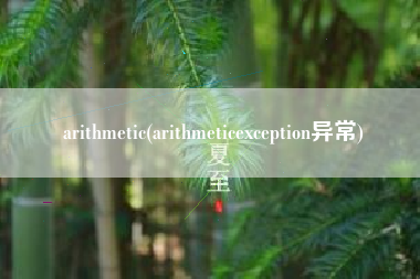 arithmetic(arithmeticexception异常)