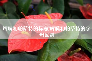 辉腾和帕萨特的标志/辉腾和帕萨特的字母区别