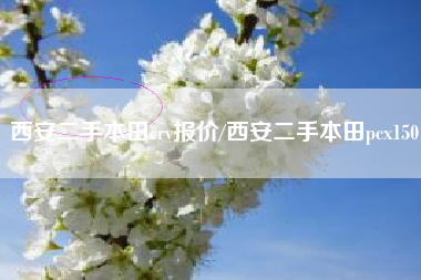 西安二手本田crv报价/西安二手本田pcx150