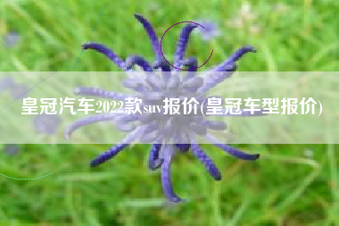 皇冠汽车2022款suv报价(皇冠车型报价) 皇冠汽车2022款suv报价(皇冠车型报价)