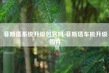 菲斯塔系统升级包官网/菲斯塔车机升级固件