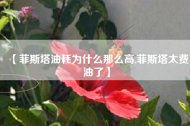 【菲斯塔油耗为什么那么高,菲斯塔太费油了】 【菲斯塔油耗为什么那么高,菲斯塔太费油了】
